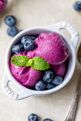 Blueberry Frozen Yogurt