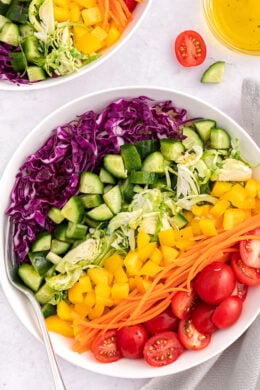 Rainbow Quinoa Salad