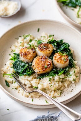 risotto with scallops