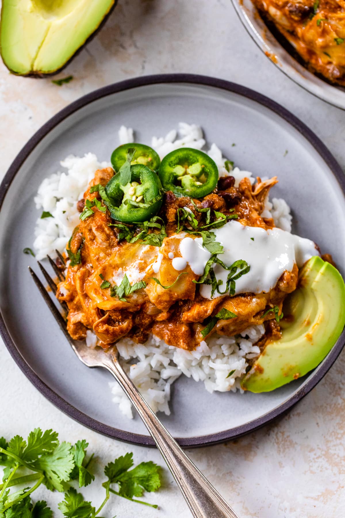 Slow Cooker Chicken Enchilada over rice